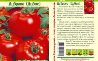 Томат «Дубрава»: характеристика и описание сорта