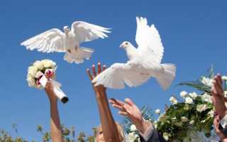 Зовите Смита, Матрица сломалась. Голубь застрял в текстурах прямо в полёте, и люди не могут это объяснить