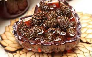 Варенье из хвойных растений: рецепты елового лакомства