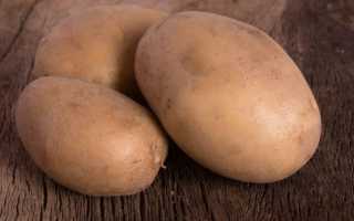 Описание сорта картофеля Вектор особенности выращивания и урожайность