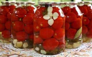 Не теряет популярности много лет — томат Новичок F1: описание сорта и характеристики