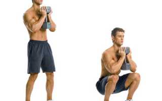 Приседания мужчины какие мышцы