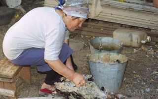 Как в домашних условиях осуществить забой индоуток