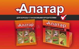 Алатар (инсектицид): состав, действие, плюсы и минусы, применение