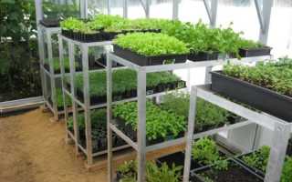 Стеллаж для рассады с подсветкой: изготовление своими руками, стоимость готовых изделий