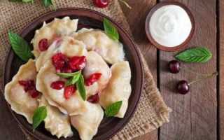 Особенности посадки и ухода за вишней Брусницына