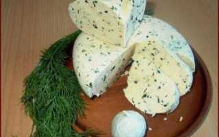 Сыр диетический рецепт. Топ рецепты домашнего сыра по дюкану.