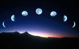 Как Луна влияет на растения в саду и огороде