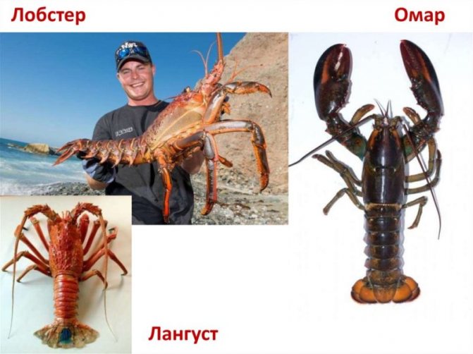 Что больше?