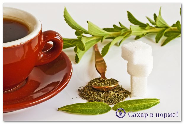 экстракт стевии как сделать