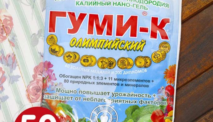 Гуми-К