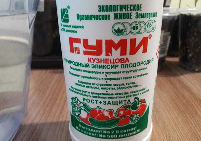 Гуми Кузнецова