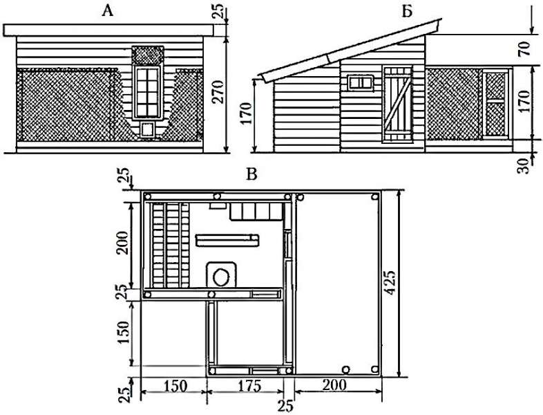 Как построить зимний курятник на 50 кур