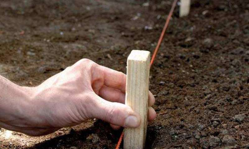 Как построить зимний курятник на 50 кур