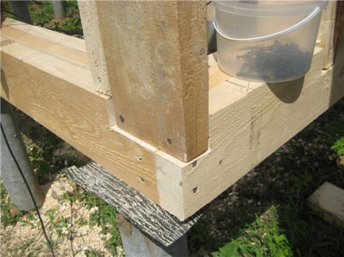 Как построить зимний курятник на 50 кур