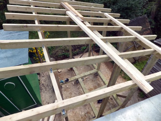 Как построить зимний курятник на 50 кур