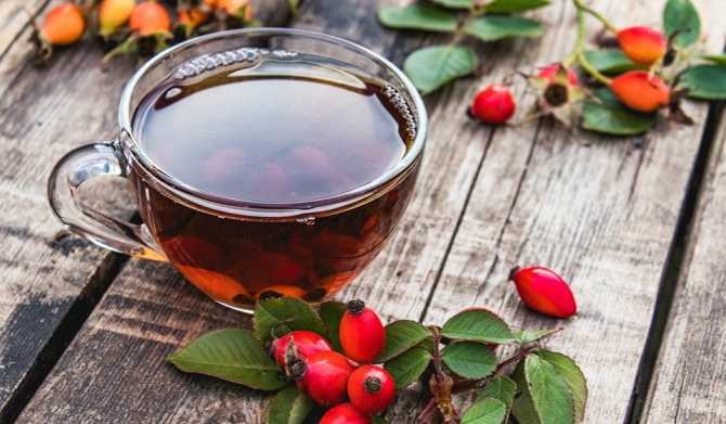 Как правильно заваривать шиповник в термосе и не только: 6 вкусных и полезных рецептов
