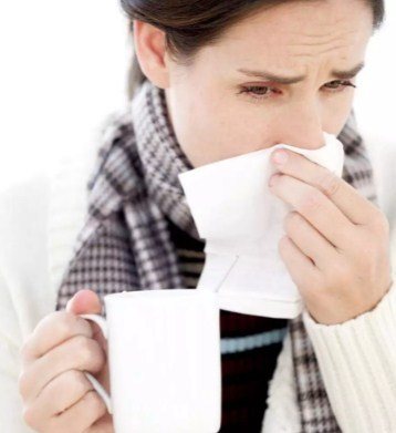 Калина при простуде