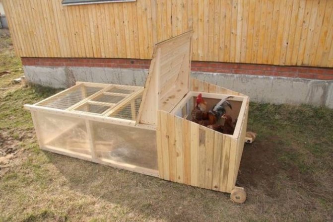 Курятник своими руками на пять кур