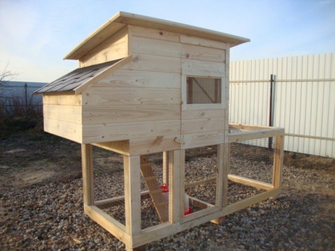 Курятник своими руками на пять кур