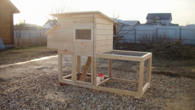 Курятник своими руками на пять кур