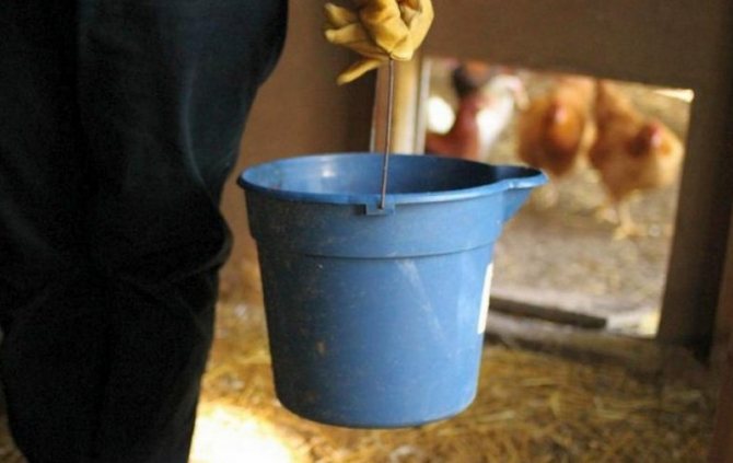 Мойка курятника