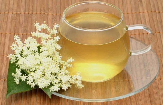 Настой из цветков бузины