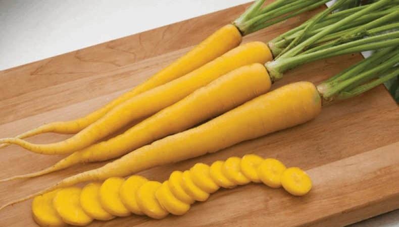 Полезные свойства желтой моркови, и в чем отличие от обычной оранжевой