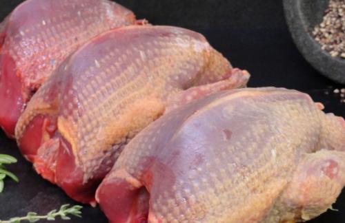 Приготовление голубя