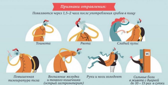 Признаки отравления грибами