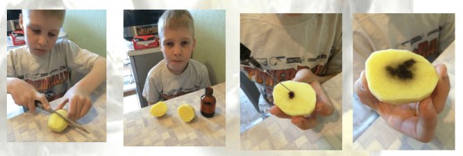 Реакция йода на крахмал