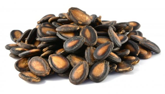 Семечки арбуза