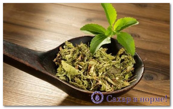 сироп из стевии в домашних условиях