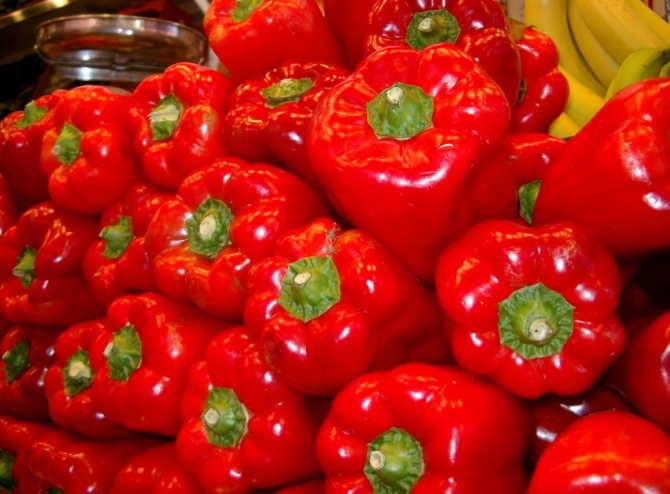 Сладкий перец Денис F1