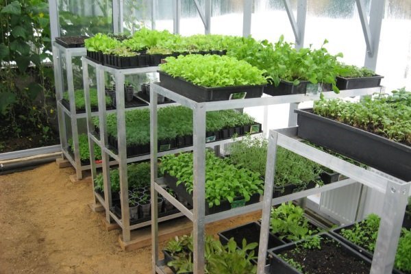 Стеллаж для рассады из уголков