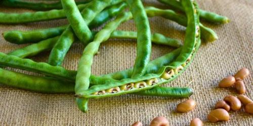 Стручковая фасоль при диете для похудения. Чем полезна стручковая фасоль при похудении