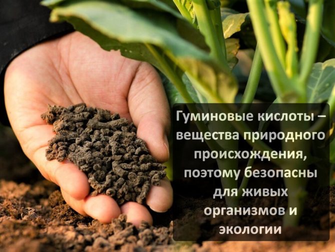 Виды удобрений на основе гуминовой кислоты