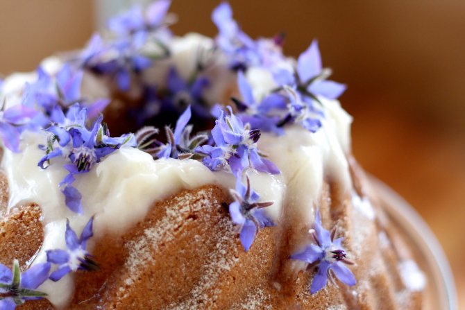 выпечка, украшенная цветками бораго