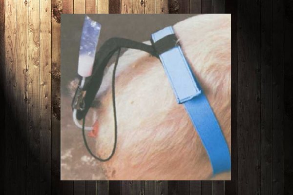 Зажим для свиньи