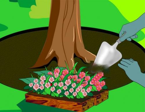 Что посадить под грушей. Как сделать клумбу под деревом