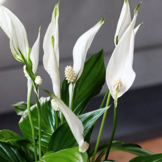 Фото 2