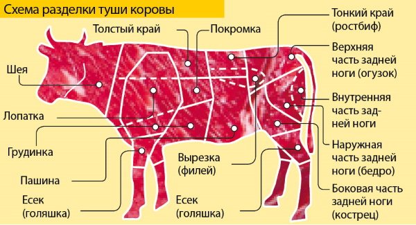 Вырезка говяжья. Что это огузок, часть туши, фото, схема, где находится